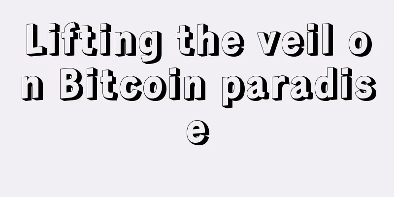 Lifting the veil on Bitcoin paradise