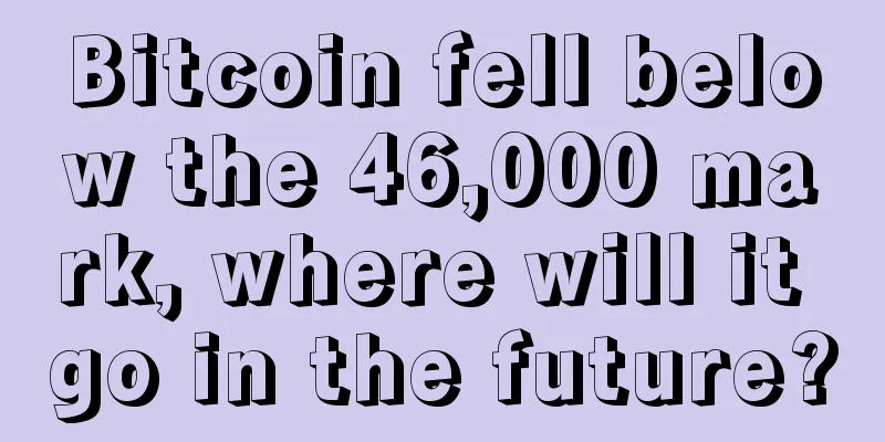 Bitcoin fell below the 46,000 mark, where will it go in the future?