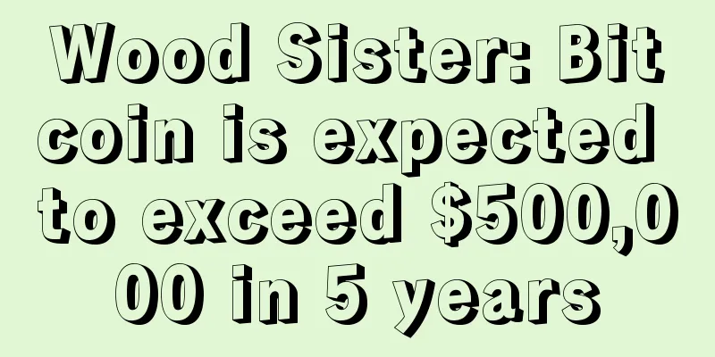 Wood Sister: Bitcoin is expected to exceed $500,000 in 5 years