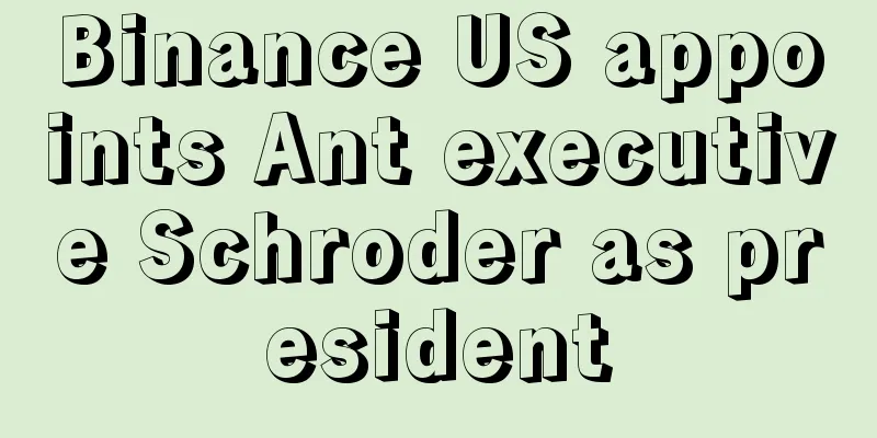 Binance US appoints Ant executive Schroder as president