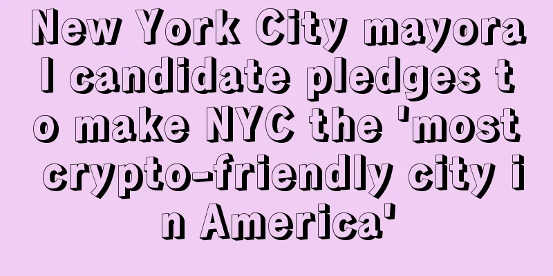 New York City mayoral candidate pledges to make NYC the 'most crypto-friendly city in America'