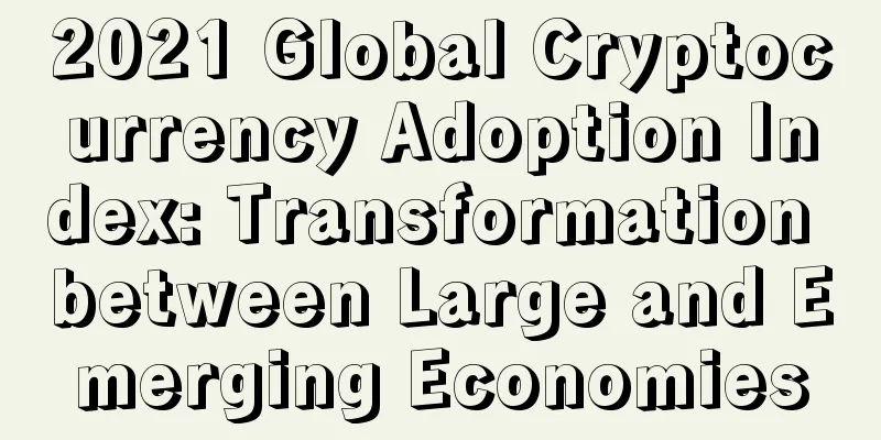 2021 Global Cryptocurrency Adoption Index: Transformation between Large and Emerging Economies