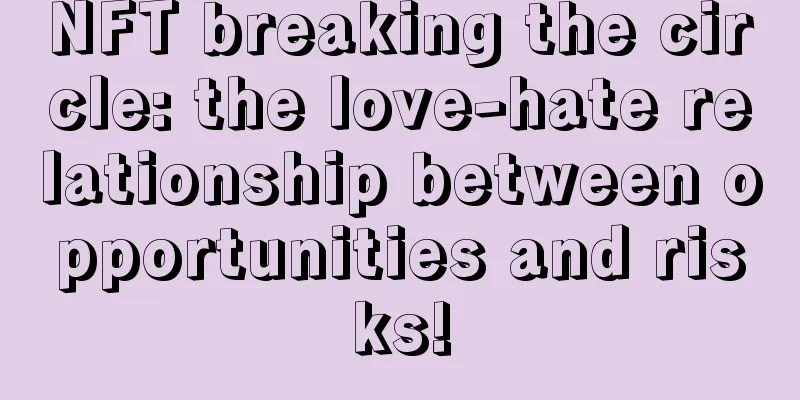 NFT breaking the circle: the love-hate relationship between opportunities and risks!