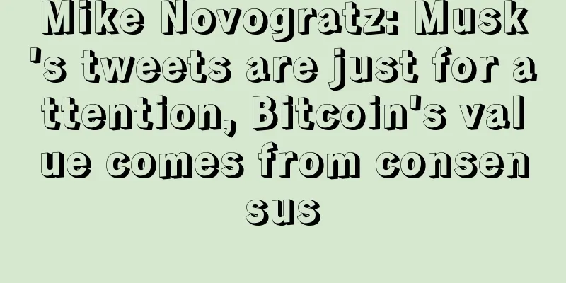 Mike Novogratz: Musk's tweets are just for attention, Bitcoin's value comes from consensus