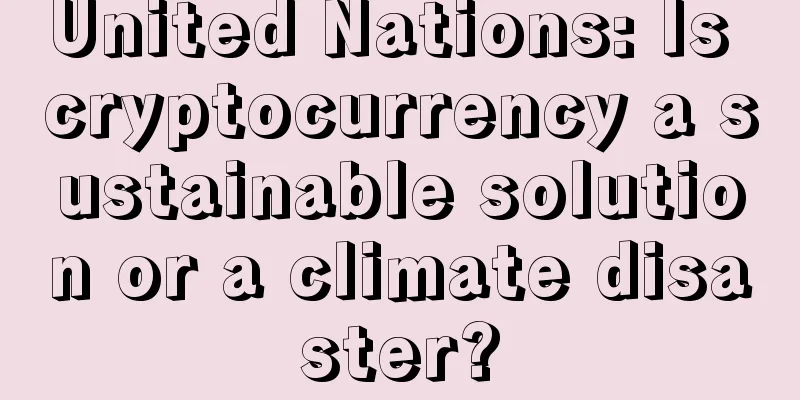 United Nations: Is cryptocurrency a sustainable solution or a climate disaster?