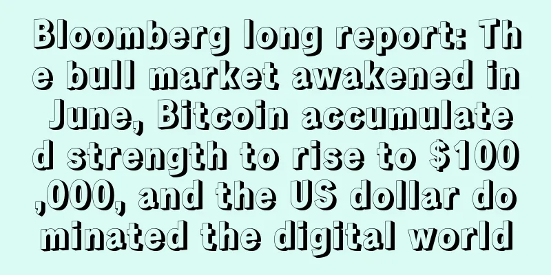 Bloomberg long report: The bull market awakened in June, Bitcoin accumulated strength to rise to $100,000, and the US dollar dominated the digital world