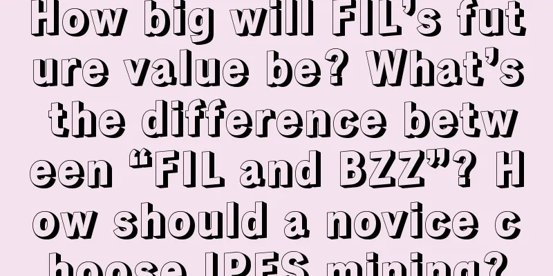 How big will FIL’s future value be? What’s the difference between “FIL and BZZ”? How should a novice choose IPFS mining?
