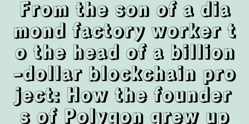 From the son of a diamond factory worker to the head of a billion-dollar blockchain project: How the founders of Polygon grew up