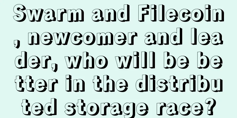 Swarm and Filecoin, newcomer and leader, who will be better in the distributed storage race?