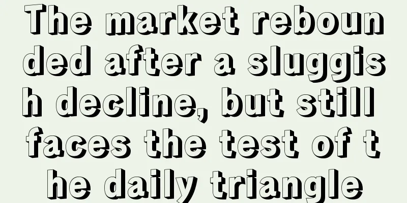 The market rebounded after a sluggish decline, but still faces the test of the daily triangle