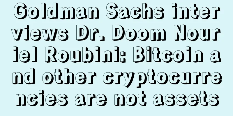 Goldman Sachs interviews Dr. Doom Nouriel Roubini: Bitcoin and other cryptocurrencies are not assets