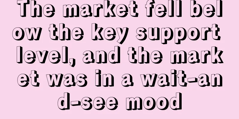 The market fell below the key support level, and the market was in a wait-and-see mood