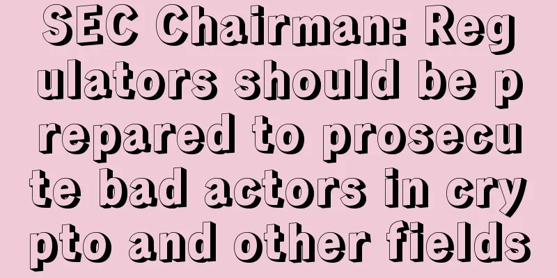 SEC Chairman: Regulators should be prepared to prosecute bad actors in crypto and other fields