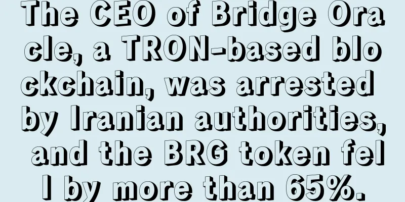 The CEO of Bridge Oracle, a TRON-based blockchain, was arrested by Iranian authorities, and the BRG token fell by more than 65%.