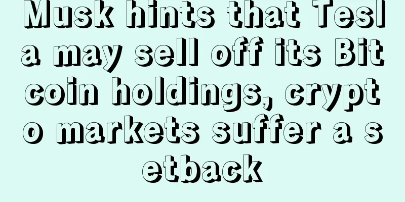 Musk hints that Tesla may sell off its Bitcoin holdings, crypto markets suffer a setback