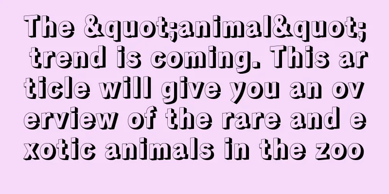 The "animal" trend is coming. This article will give you an overview of the rare and exotic animals in the zoo