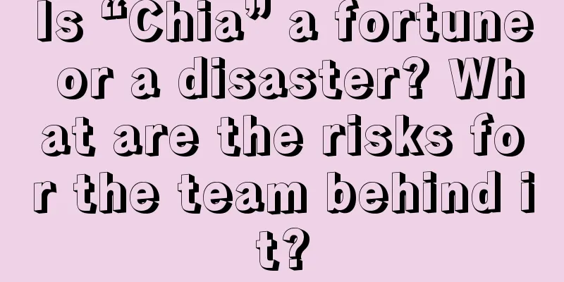 Is “Chia” a fortune or a disaster? What are the risks for the team behind it?