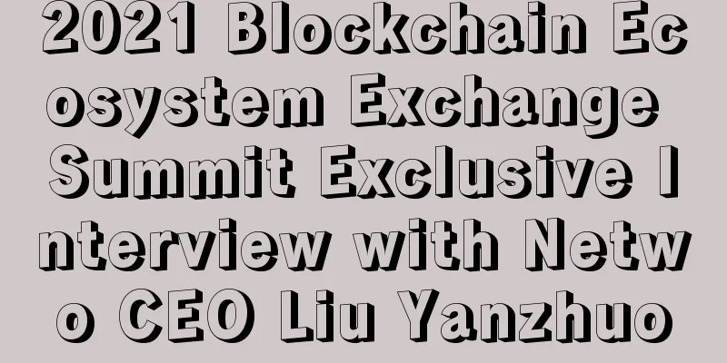 2021 Blockchain Ecosystem Exchange Summit Exclusive Interview with Netwo CEO Liu Yanzhuo
