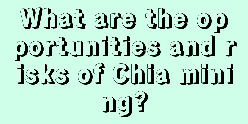 What are the opportunities and risks of Chia mining?
