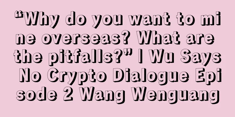 “Why do you want to mine overseas? What are the pitfalls?” | Wu Says No Crypto Dialogue Episode 2 Wang Wenguang