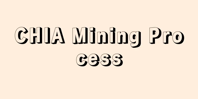 CHIA Mining Process