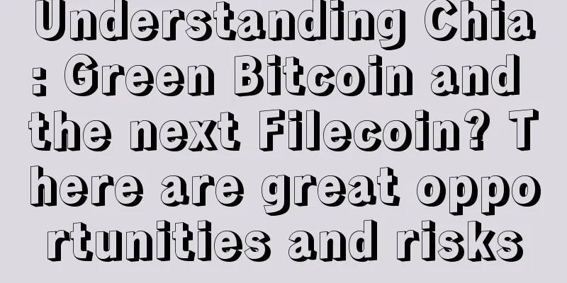 Understanding Chia: Green Bitcoin and the next Filecoin? There are great opportunities and risks