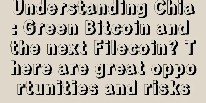 Understanding Chia: Green Bitcoin and the next Filecoin? There are great opportunities and risks