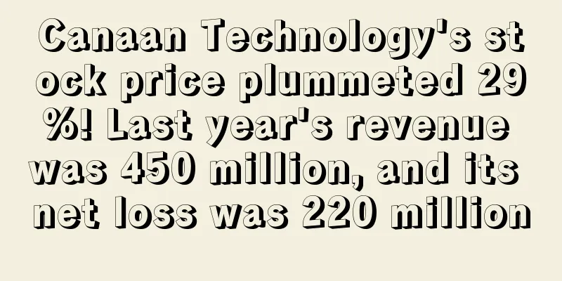 Canaan Technology's stock price plummeted 29%! Last year's revenue was 450 million, and its net loss was 220 million