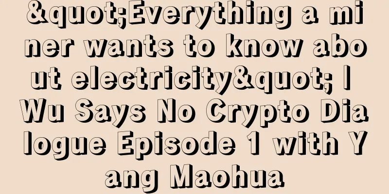 "Everything a miner wants to know about electricity" | Wu Says No Crypto Dialogue Episode 1 with Yang Maohua