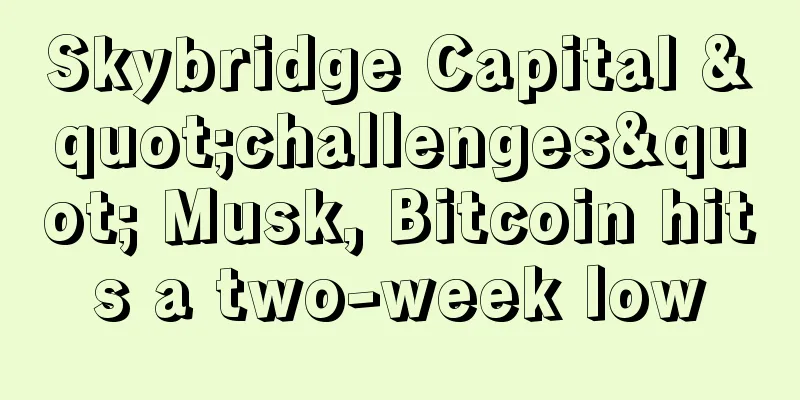 Skybridge Capital "challenges" Musk, Bitcoin hits a two-week low