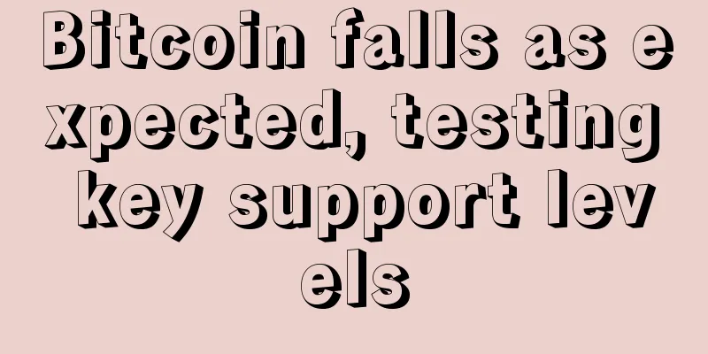 Bitcoin falls as expected, testing key support levels