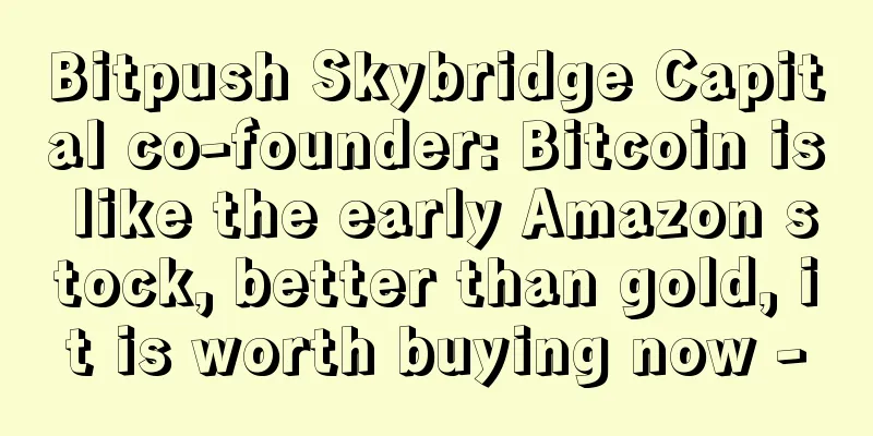 Bitpush Skybridge Capital co-founder: Bitcoin is like the early Amazon stock, better than gold, it is worth buying now -