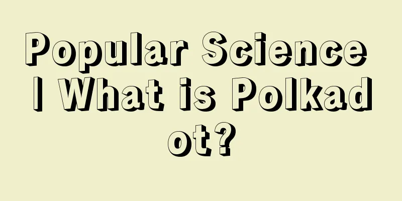 Popular Science | What is Polkadot?
