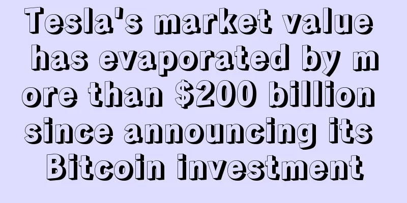 Tesla's market value has evaporated by more than $200 billion since announcing its Bitcoin investment