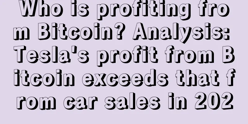 Who is profiting from Bitcoin? Analysis: Tesla's profit from Bitcoin exceeds that from car sales in 2020