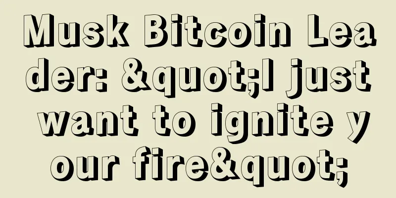Musk Bitcoin Leader: "I just want to ignite your fire"