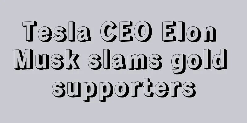 Tesla CEO Elon Musk slams gold supporters