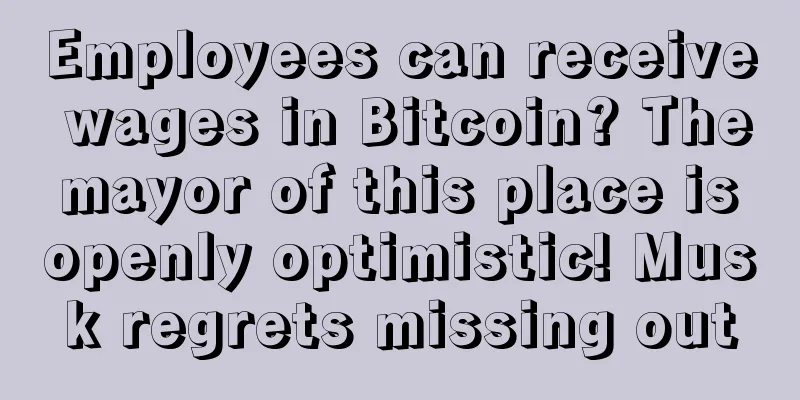 Employees can receive wages in Bitcoin? The mayor of this place is openly optimistic! Musk regrets missing out