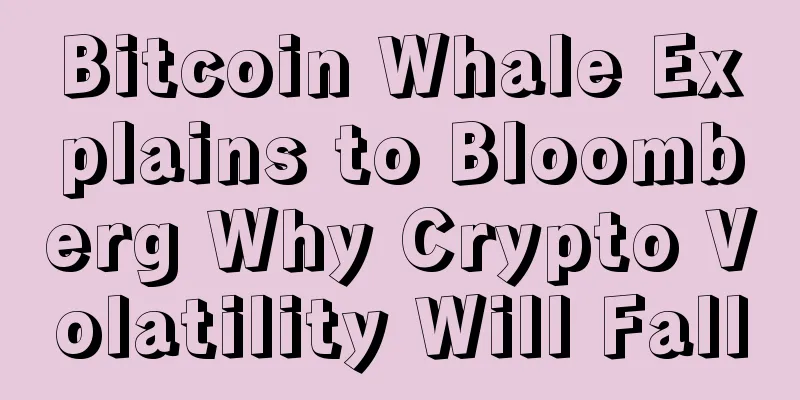 Bitcoin Whale Explains to Bloomberg Why Crypto Volatility Will Fall