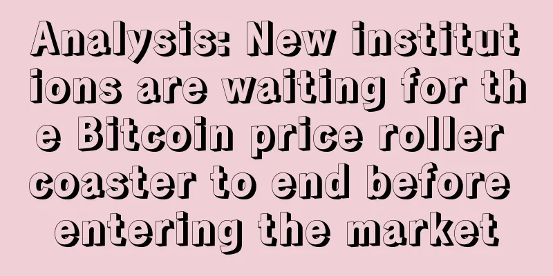 Analysis: New institutions are waiting for the Bitcoin price roller coaster to end before entering the market