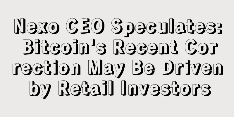 Nexo CEO Speculates: Bitcoin's Recent Correction May Be Driven by Retail Investors