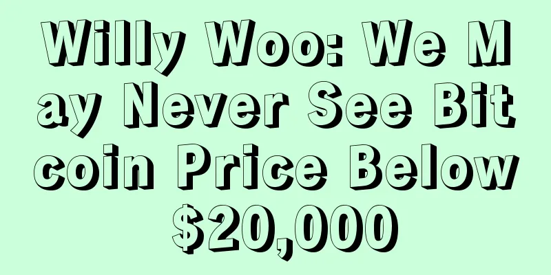 Willy Woo: We May Never See Bitcoin Price Below $20,000