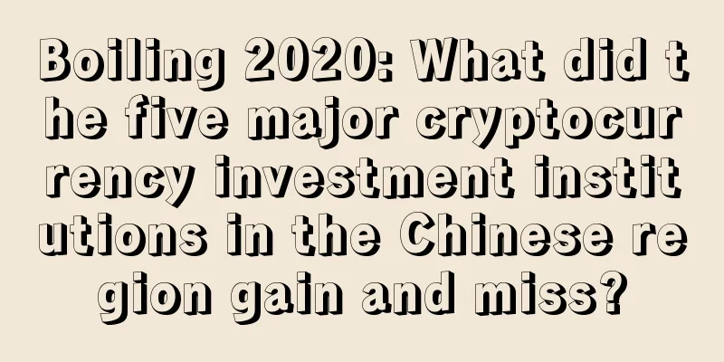Boiling 2020: What did the five major cryptocurrency investment institutions in the Chinese region gain and miss?
