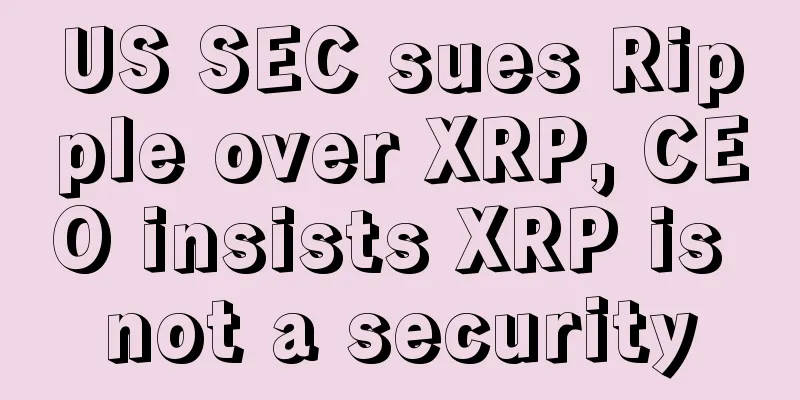 US SEC sues Ripple over XRP, CEO insists XRP is not a security