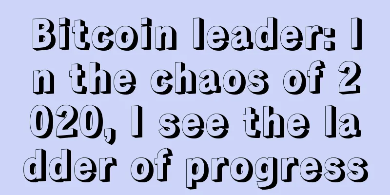 Bitcoin leader: In the chaos of 2020, I see the ladder of progress