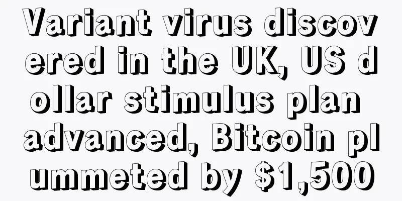 Variant virus discovered in the UK, US dollar stimulus plan advanced, Bitcoin plummeted by $1,500