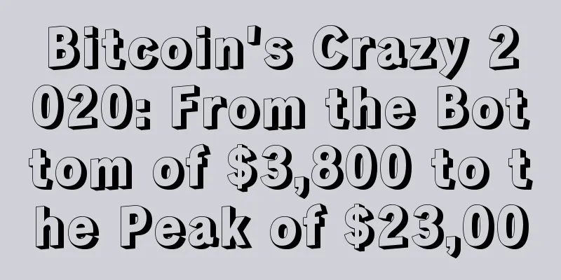 Bitcoin's Crazy 2020: From the Bottom of $3,800 to the Peak of $23,000