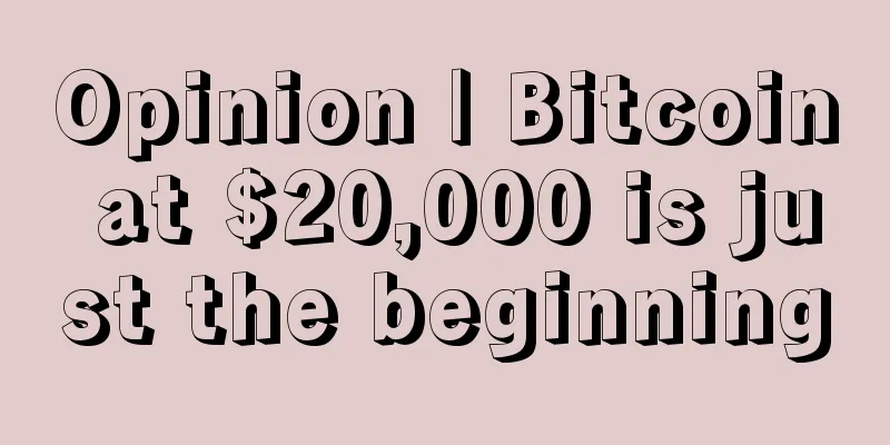 Opinion | Bitcoin at $20,000 is just the beginning