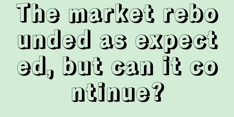 The market rebounded as expected, but can it continue?