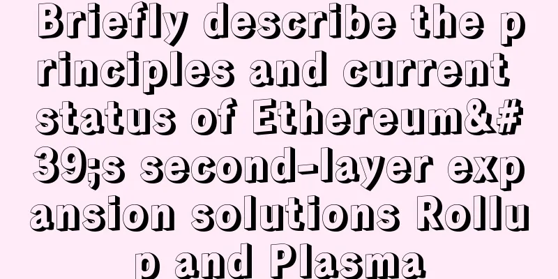 Briefly describe the principles and current status of Ethereum's second-layer expansion solutions Rollup and Plasma